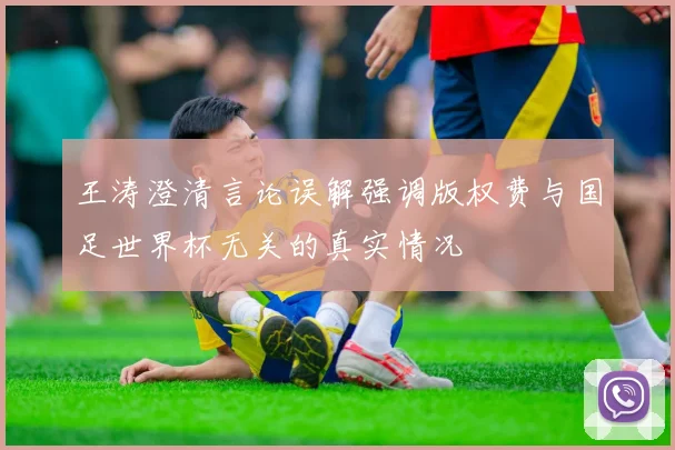 王涛澄清言论误解强调版权费与国足世界杯无关的真实情况