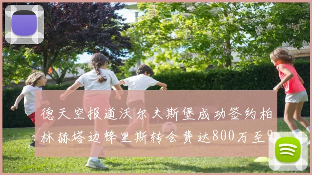 德天空报道沃尔夫斯堡成功签约柏林赫塔边锋里斯转会费达800万至900万欧元